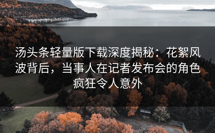 汤头条轻量版下载深度揭秘：花絮风波背后，当事人在记者发布会的角色疯狂令人意外